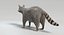 Animated Game Raccoon