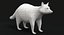Animated Game Raccoon