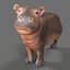 Dziecko Hippo Nijlpaard Hippopotamus Amphibius