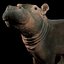 Dziecko Hippo Nijlpaard Hippopotamus Amphibius