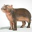 Dziecko Hippo Nijlpaard Hippopotamus Amphibius