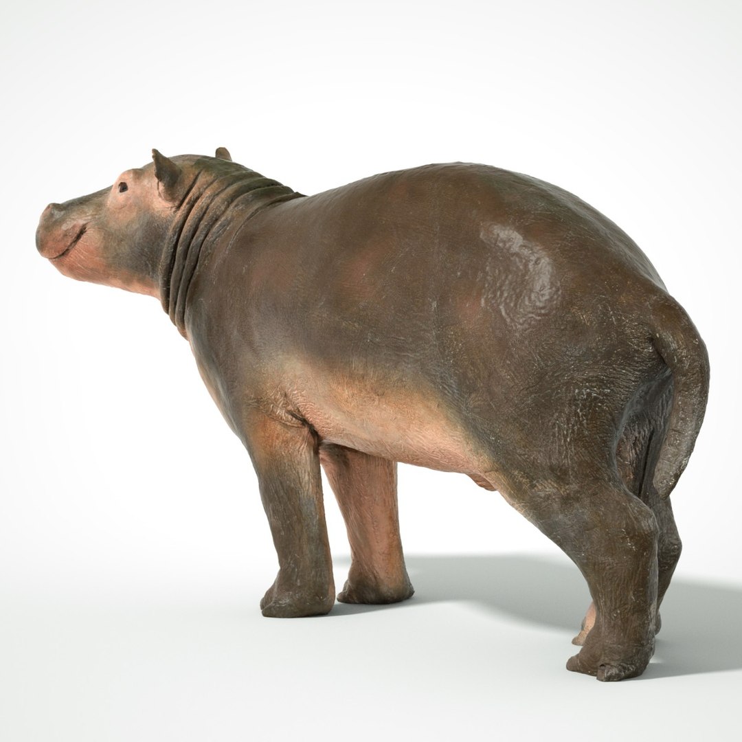 3D animal scanned unity https://p.turbosquid.com/ts-thumb/RR/zmu0MX/aE1Kf44c/babyhipponijlpaardhippopotamusamphibiusbiologyanimal3dmodelphotogrammetryscantaxidermy145/jpg/1498568242/1920x1080/fit_q87/9ec6d6be7bdcebde763f89aba17a8b04d20addcc/babyhipponijlpaardhippopotamusamphibiusbiologyanimal3dmodelphotogrammetryscantaxidermy145.jpg