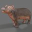 Dziecko Hippo Nijlpaard Hippopotamus Amphibius