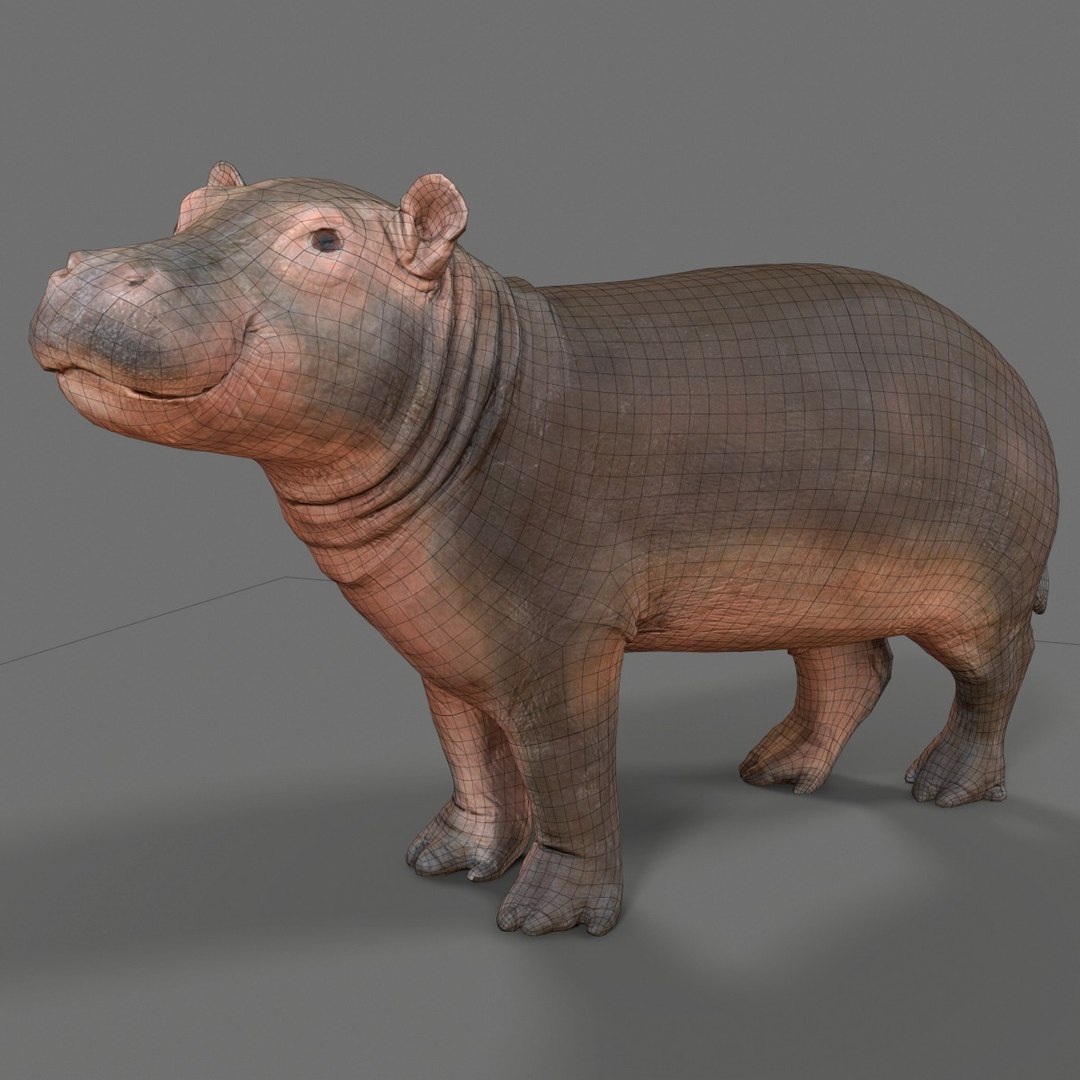 3D animal scanned unity https://p.turbosquid.com/ts-thumb/RR/zmu0MX/jmzlDG0u/babyhipponijlpaardhippopotamusamphibiusbiologyanimal3dmodelphotogrammetryscantaxidermy052/jpg/1498568242/1920x1080/fit_q87/74c5ac4261da40551e28a1f8ff14d7d3d386b603/babyhipponijlpaardhippopotamusamphibiusbiologyanimal3dmodelphotogrammetryscantaxidermy052.jpg