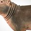 Dziecko Hippo Nijlpaard Hippopotamus Amphibius