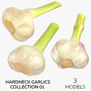 Hardneck Garlics Collection 01 - 3 models 3D model