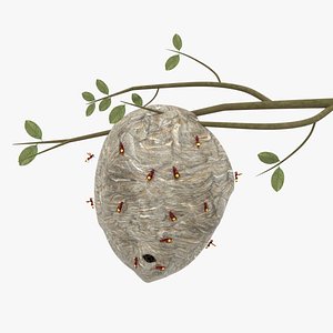 3D model hornet nest