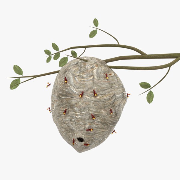 3D model hornet nest