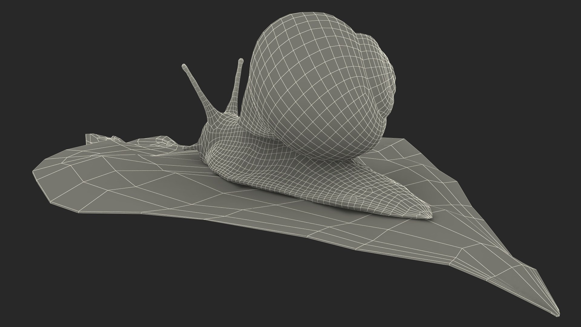 3D Garden Snail Crawls on a Leaf https://p.turbosquid.com/ts-thumb/RS/MZVng0/4I/gardensnailcrawlsonaleaf3dsmodel024/jpg/1707031122/1920x1080/fit_q87/a5c877d5db07782ed44364ea289c8c742099f4b5/gardensnailcrawlsonaleaf3dsmodel024.jpg
