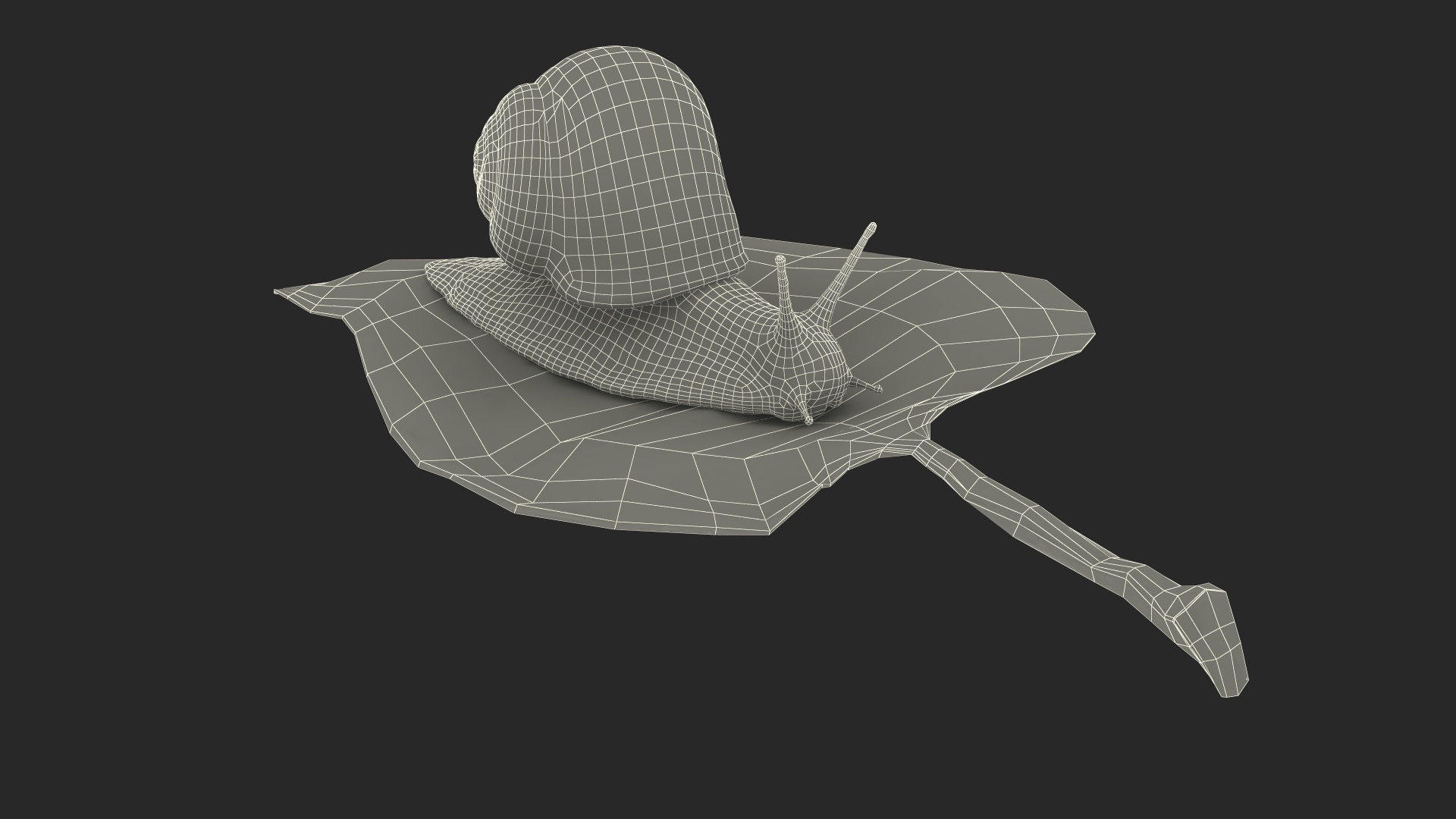 3D Garden Snail Crawls on a Leaf https://p.turbosquid.com/ts-thumb/RS/MZVng0/Br/garden_snail_crawls_on_a_leaf_361/jpg/1707030795/1920x1080/turn_fit_q99/0ab6f1de47bcfdab20c5ea5a02f8f46bf0b8dfdd/garden_snail_crawls_on_a_leaf_361-1.jpg