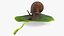 Gartenschnecke kriecht auf einem Blatt