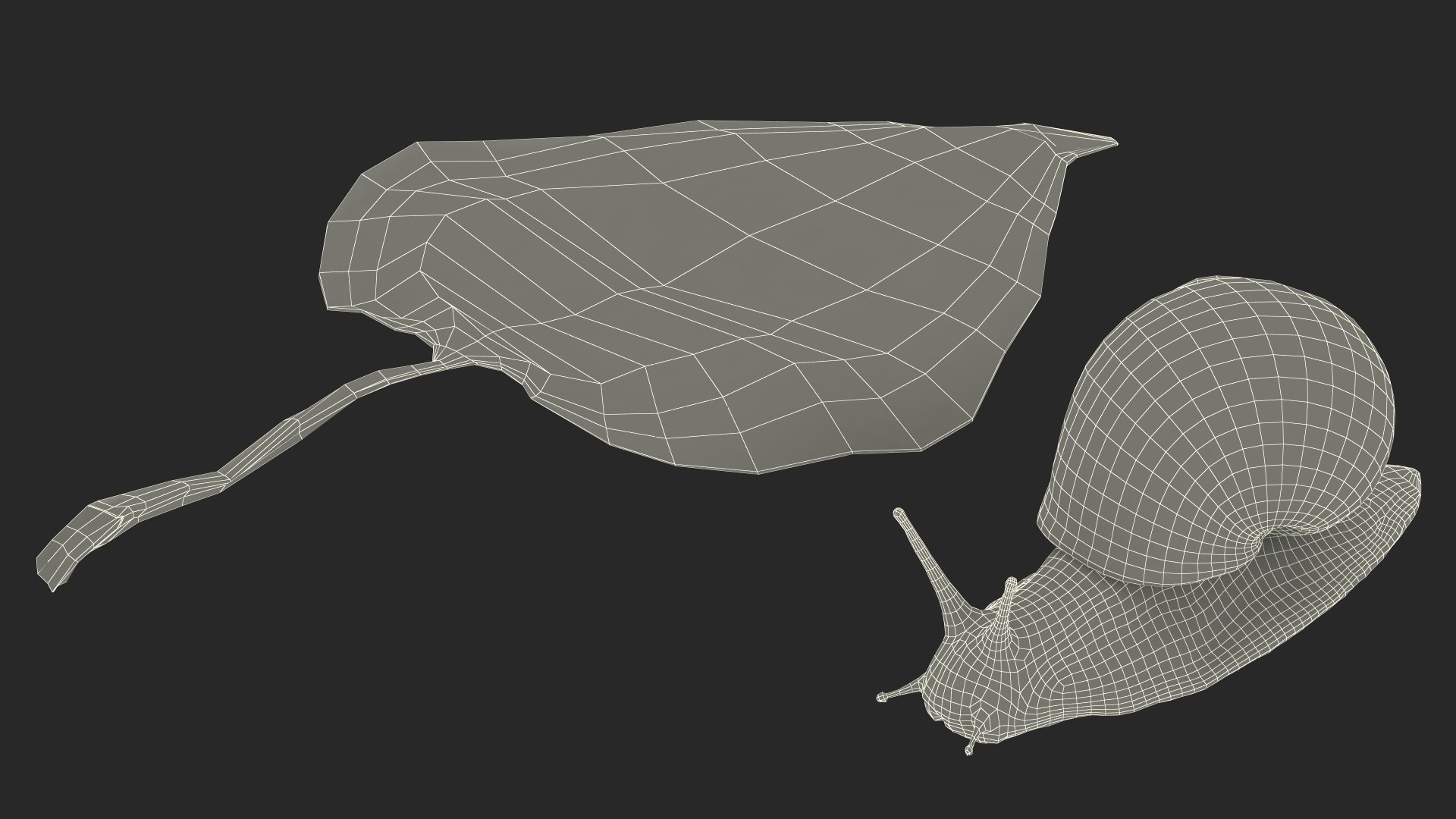 3D Garden Snail Crawls on a Leaf https://p.turbosquid.com/ts-thumb/RS/MZVng0/VK/gardensnailcrawlsonaleaf3dsmodel026/jpg/1707031130/1920x1080/fit_q87/df5fd2745d97bc4aa7c4f038cae4370511ebe922/gardensnailcrawlsonaleaf3dsmodel026.jpg