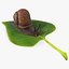 Gartenschnecke kriecht auf einem Blatt