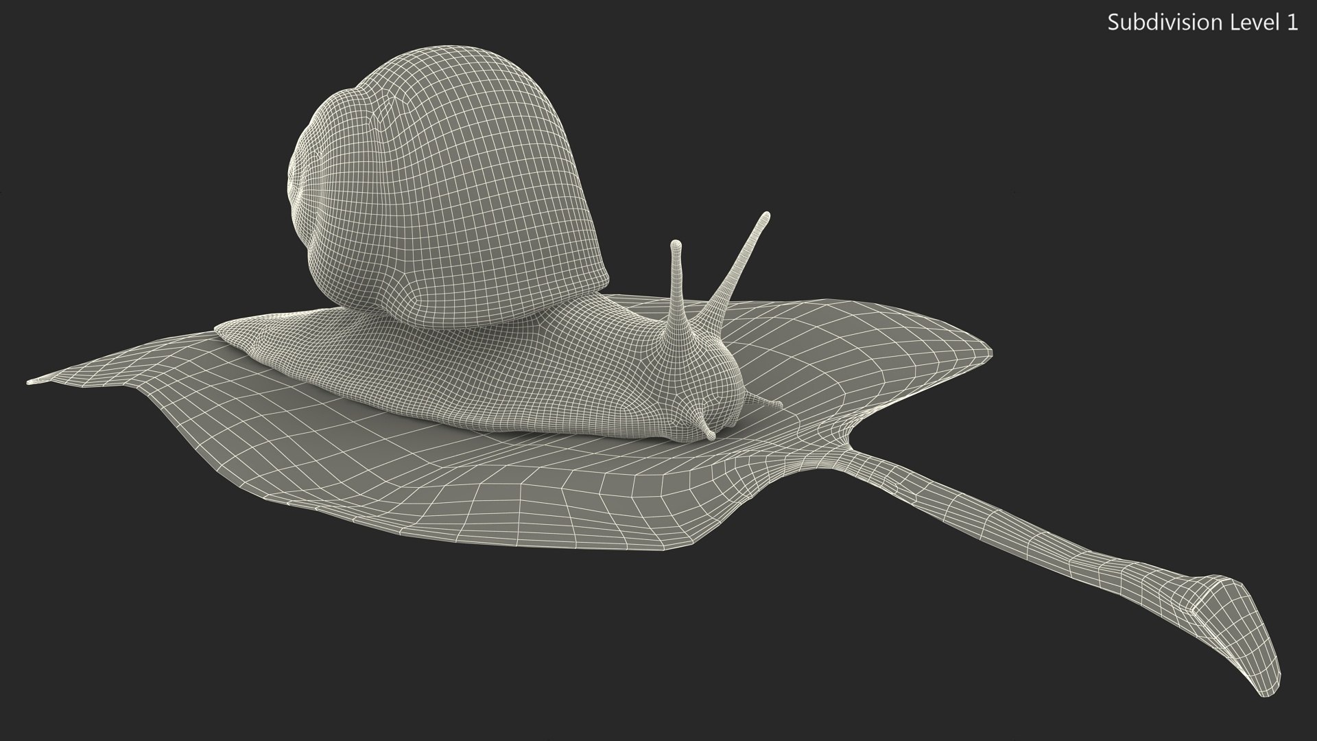 3D Garden Snail Crawls on a Leaf https://p.turbosquid.com/ts-thumb/RS/MZVng0/h7/gardensnailcrawlsonaleaf3dsmodel019/jpg/1707031102/1920x1080/fit_q87/c5c170797944aa5bc198323aefc994b0e81e9f69/gardensnailcrawlsonaleaf3dsmodel019.jpg