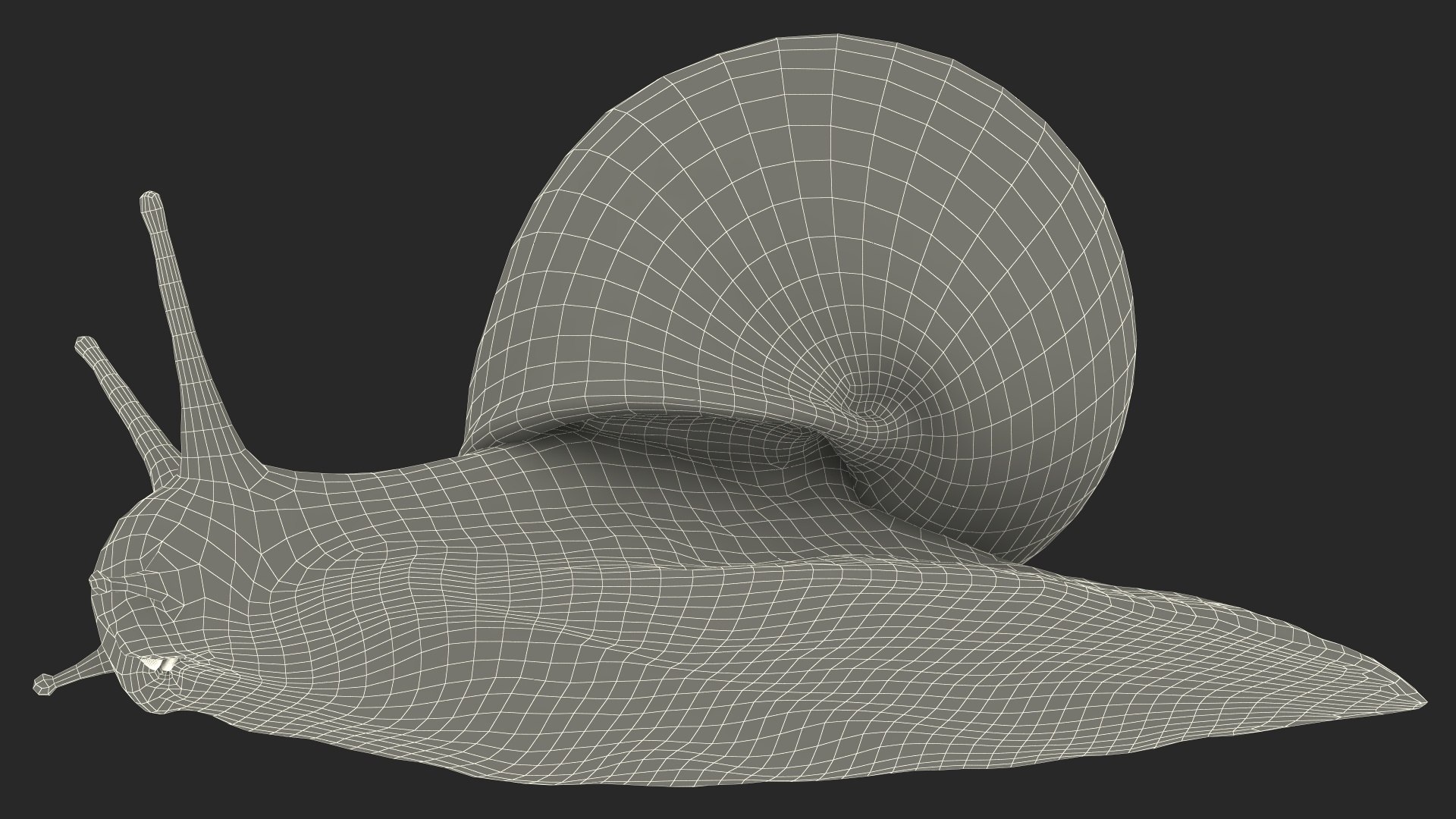 3D Garden Snail Crawls on a Leaf https://p.turbosquid.com/ts-thumb/RS/MZVng0/jg/gardensnailcrawlsonaleaf3dsmodel028/jpg/1707031138/1920x1080/fit_q87/6d7b8eed49c815489f27d6263163556575a55486/gardensnailcrawlsonaleaf3dsmodel028.jpg