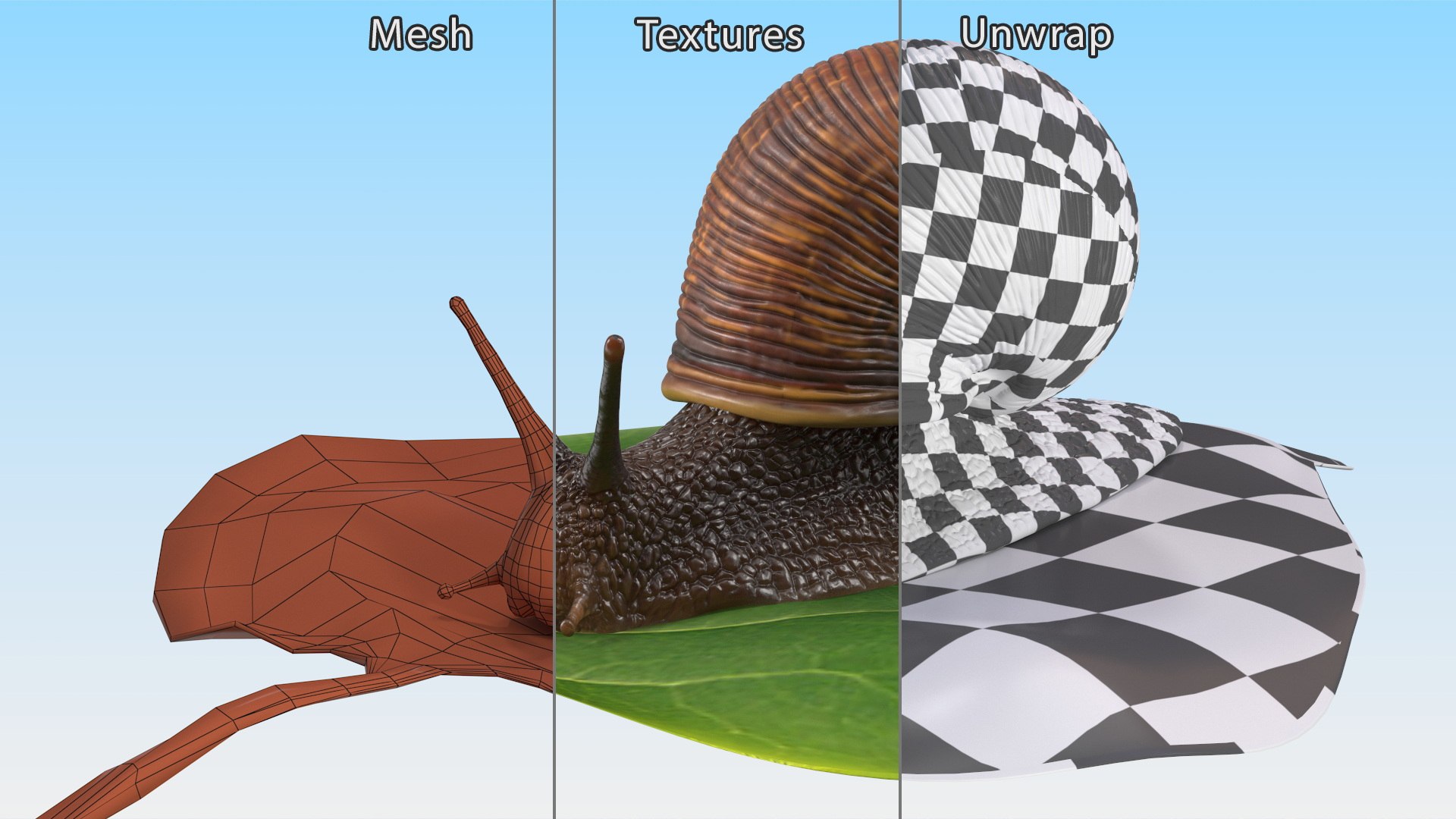 3D Garden Snail Crawls on a Leaf https://p.turbosquid.com/ts-thumb/RS/MZVng0/nI/gardensnailcrawlsonaleaf3dsmodel017/jpg/1707031094/1920x1080/fit_q87/dfc1db2f346d9b809dedfc876f45cd3b6a00508d/gardensnailcrawlsonaleaf3dsmodel017.jpg