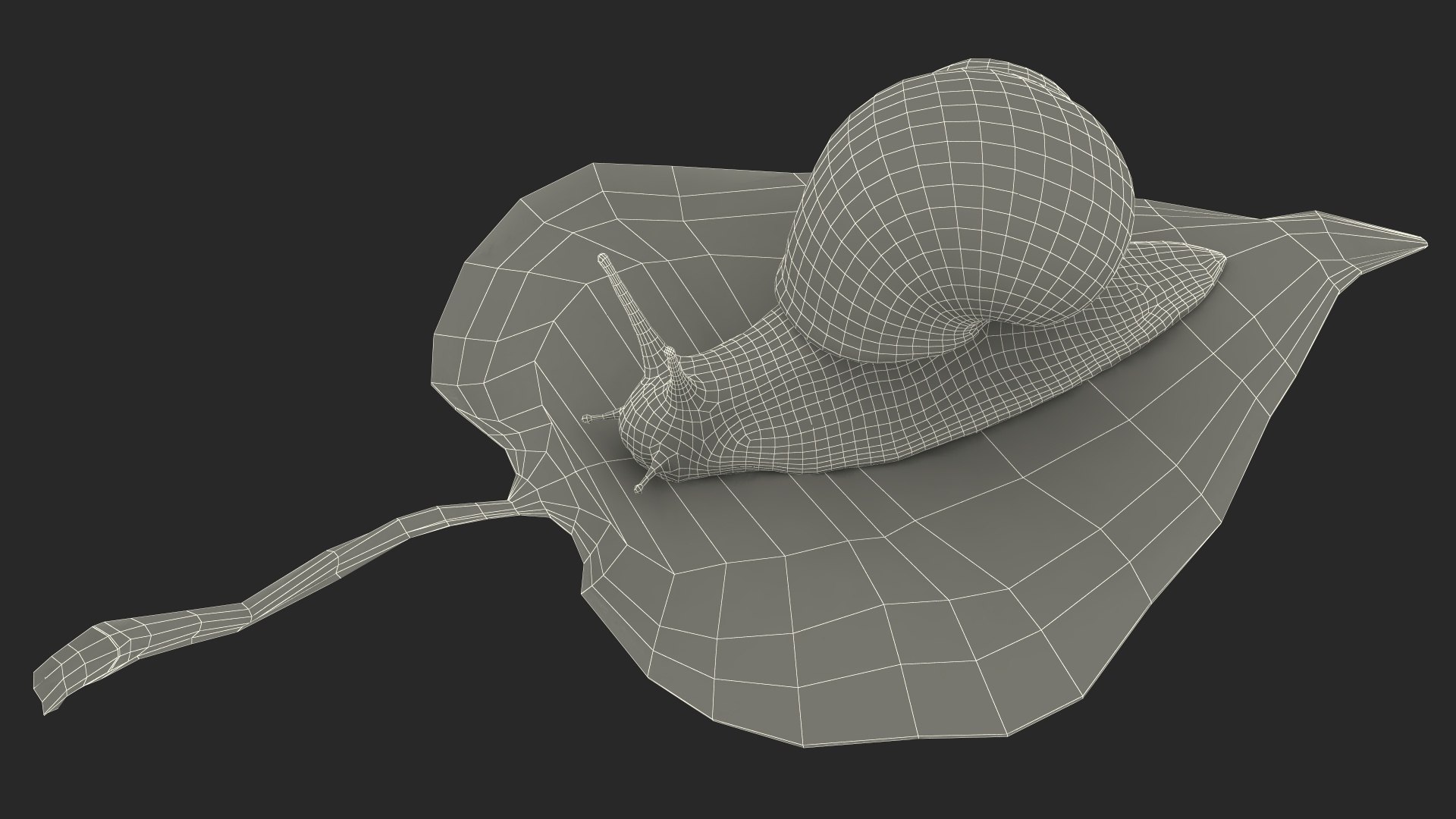 3D Garden Snail Crawls on a Leaf https://p.turbosquid.com/ts-thumb/RS/MZVng0/vK/gardensnailcrawlsonaleaf3dsmodel023/jpg/1707031118/1920x1080/fit_q87/a40470ef0b78f29b2291fb21fbf516770b142b57/gardensnailcrawlsonaleaf3dsmodel023.jpg