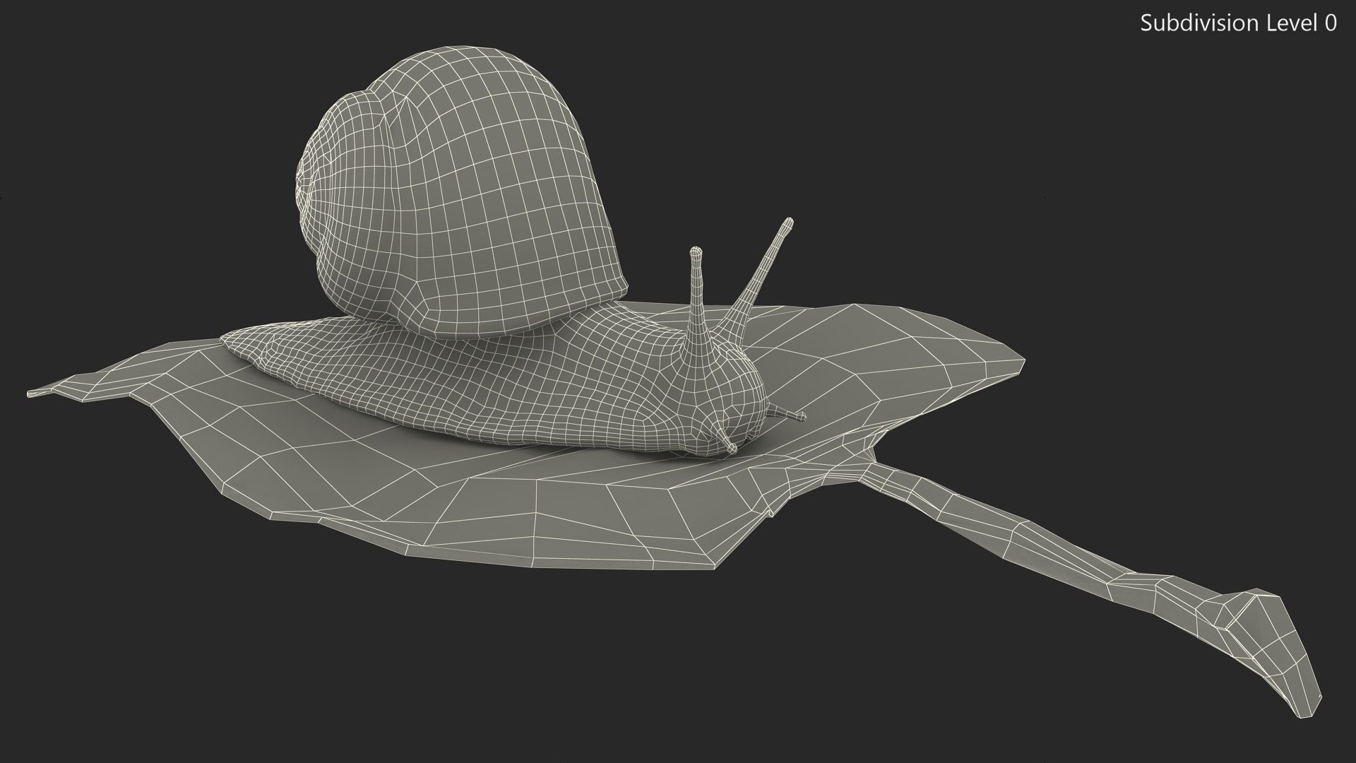 3D Garden Snail Crawls on a Leaf https://p.turbosquid.com/ts-thumb/RS/MZVng0/zm/gardensnailcrawlsonaleaf3dsmodel018/jpg/1707031098/1920x1080/fit_q87/10dcd9951eb9a6d246aeb5331fb3ad2b4cb75281/gardensnailcrawlsonaleaf3dsmodel018.jpg