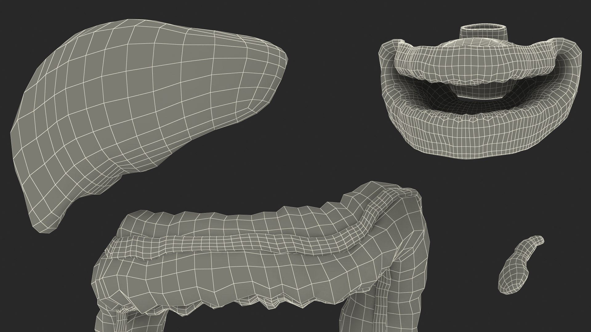 3D Boy Digestive System model https://p.turbosquid.com/ts-thumb/RS/egYx1a/Ag/boydigestivesystem3dsmodel037/jpg/1639665793/1920x1080/fit_q87/b7c1f7b8ee1ec6b91a1587976c4fe2a968ebf2aa/boydigestivesystem3dsmodel037.jpg