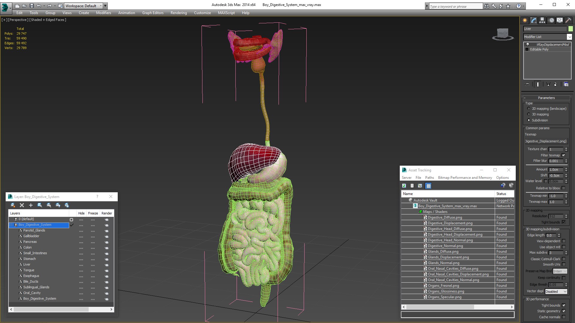 3D Boy Digestive System model https://p.turbosquid.com/ts-thumb/RS/egYx1a/Or/boydigestivesystem3dsmodel025/jpg/1639665759/1920x1080/fit_q87/f90eef74e1eff6f56feae88e74dc6141f977ceec/boydigestivesystem3dsmodel025.jpg