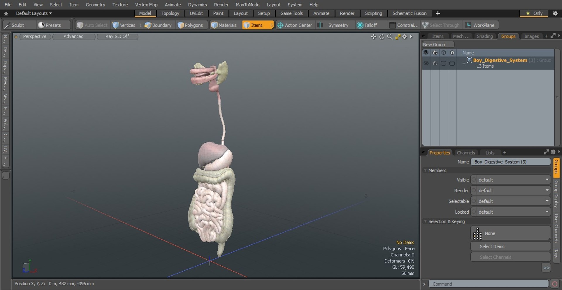 3D Boy Digestive System model https://p.turbosquid.com/ts-thumb/RS/egYx1a/cd/boydigestivesystem3dsmodel027/jpg/1639665764/1920x1080/fit_q87/81263205a5c8f6da76754389330cd074fa4bdf78/boydigestivesystem3dsmodel027.jpg