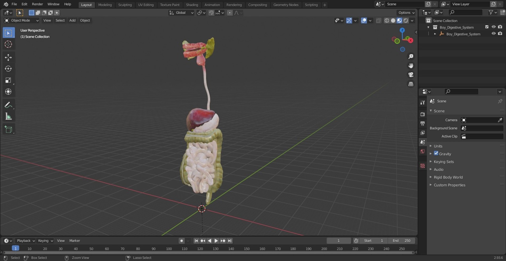 3D Boy Digestive System model https://p.turbosquid.com/ts-thumb/RS/egYx1a/iW/boydigestivesystem3dsmodel026/jpg/1639665762/1920x1080/fit_q87/88ea16dcb67dd803e06c5c19610ca6dc6a49525f/boydigestivesystem3dsmodel026.jpg