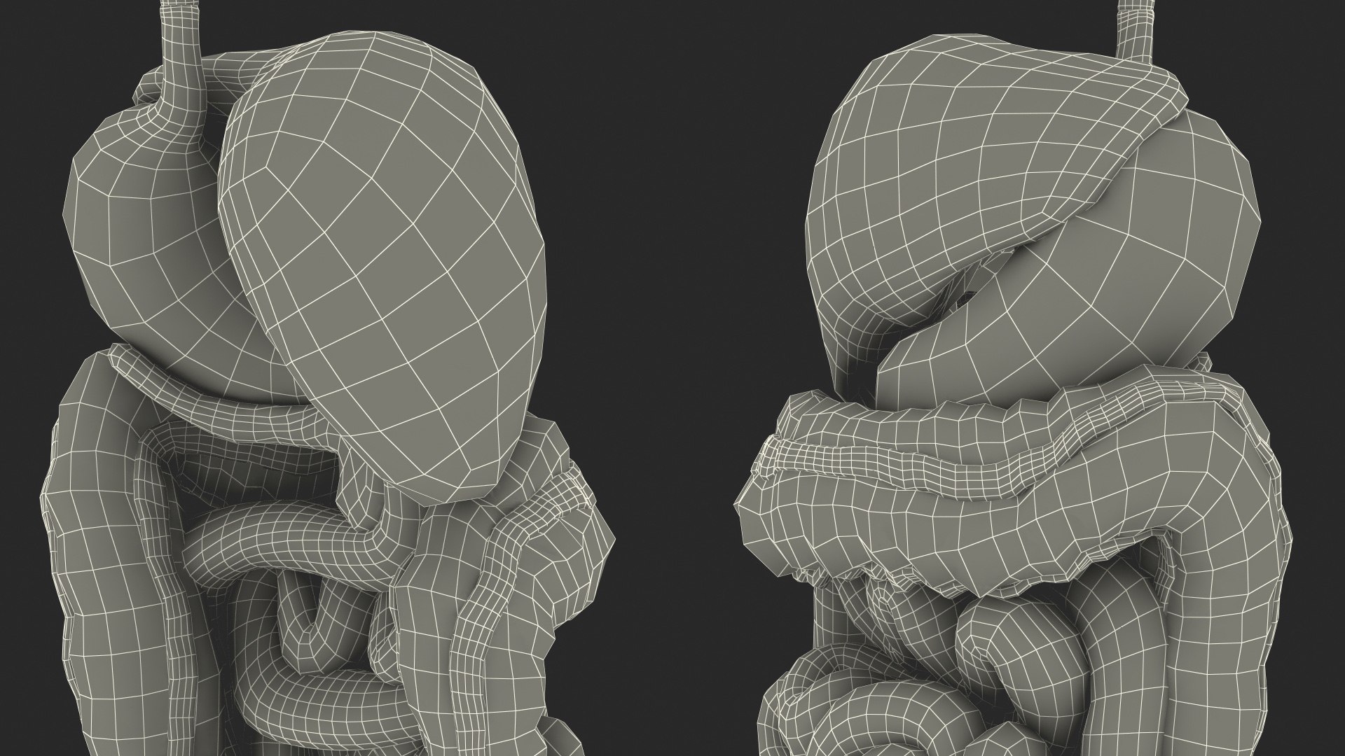 3D Boy Digestive System model https://p.turbosquid.com/ts-thumb/RS/egYx1a/lh/boydigestivesystem3dsmodel033/jpg/1639665781/1920x1080/fit_q87/a17a85c9f8040ba6d79b2d912e4cdec4c5fcbfc7/boydigestivesystem3dsmodel033.jpg
