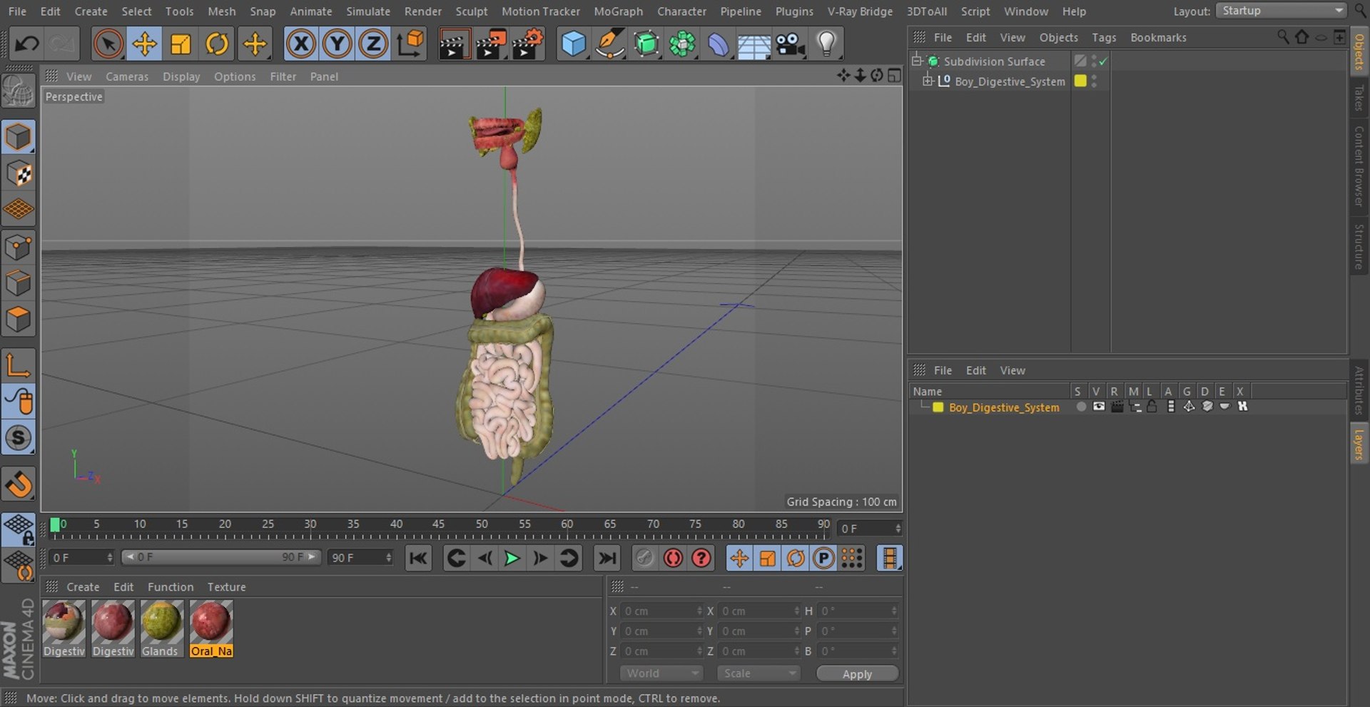 3D Boy Digestive System model https://p.turbosquid.com/ts-thumb/RS/egYx1a/mx/boydigestivesystem3dsmodel028/jpg/1639665767/1920x1080/fit_q87/30bb2fcb9b76e1a22fff685cd641ac8d801fe013/boydigestivesystem3dsmodel028.jpg