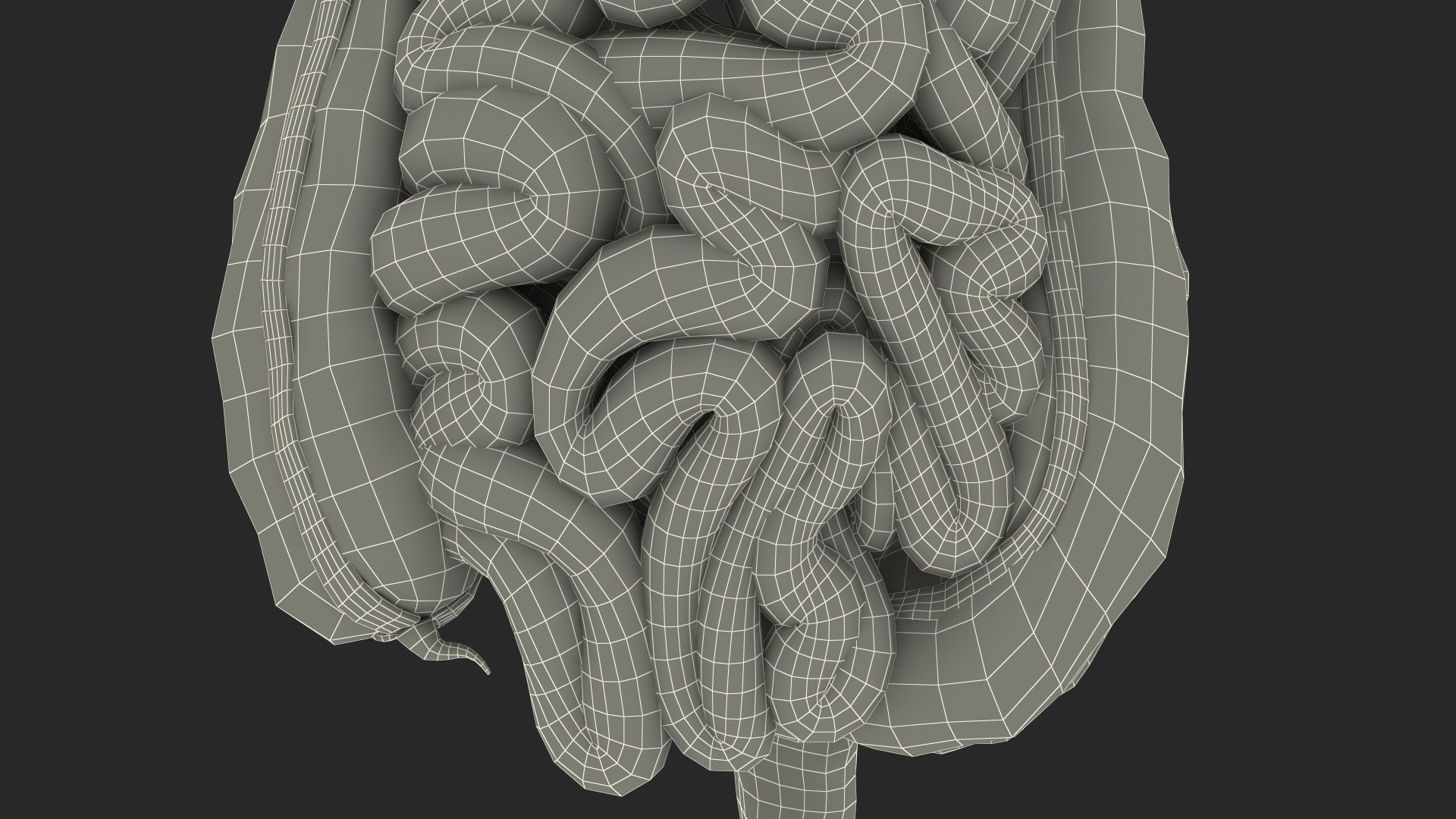 3D Boy Digestive System model https://p.turbosquid.com/ts-thumb/RS/egYx1a/nx/boydigestivesystem3dsmodel034/jpg/1639665784/1920x1080/fit_q87/2b23d49a7b061c01760f5b5feb4d0f813571753d/boydigestivesystem3dsmodel034.jpg