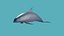 Dauphin de dessin animé low-poly animé pour vous Modèle 3D low-poly