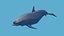 Dauphin de dessin animé low-poly animé pour vous Modèle 3D low-poly