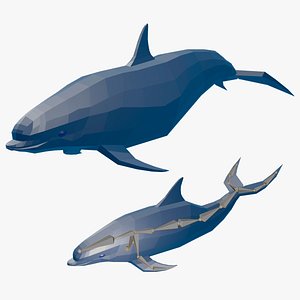 Animated low-poly cartoon dolphin for you Low-poly 3D model
