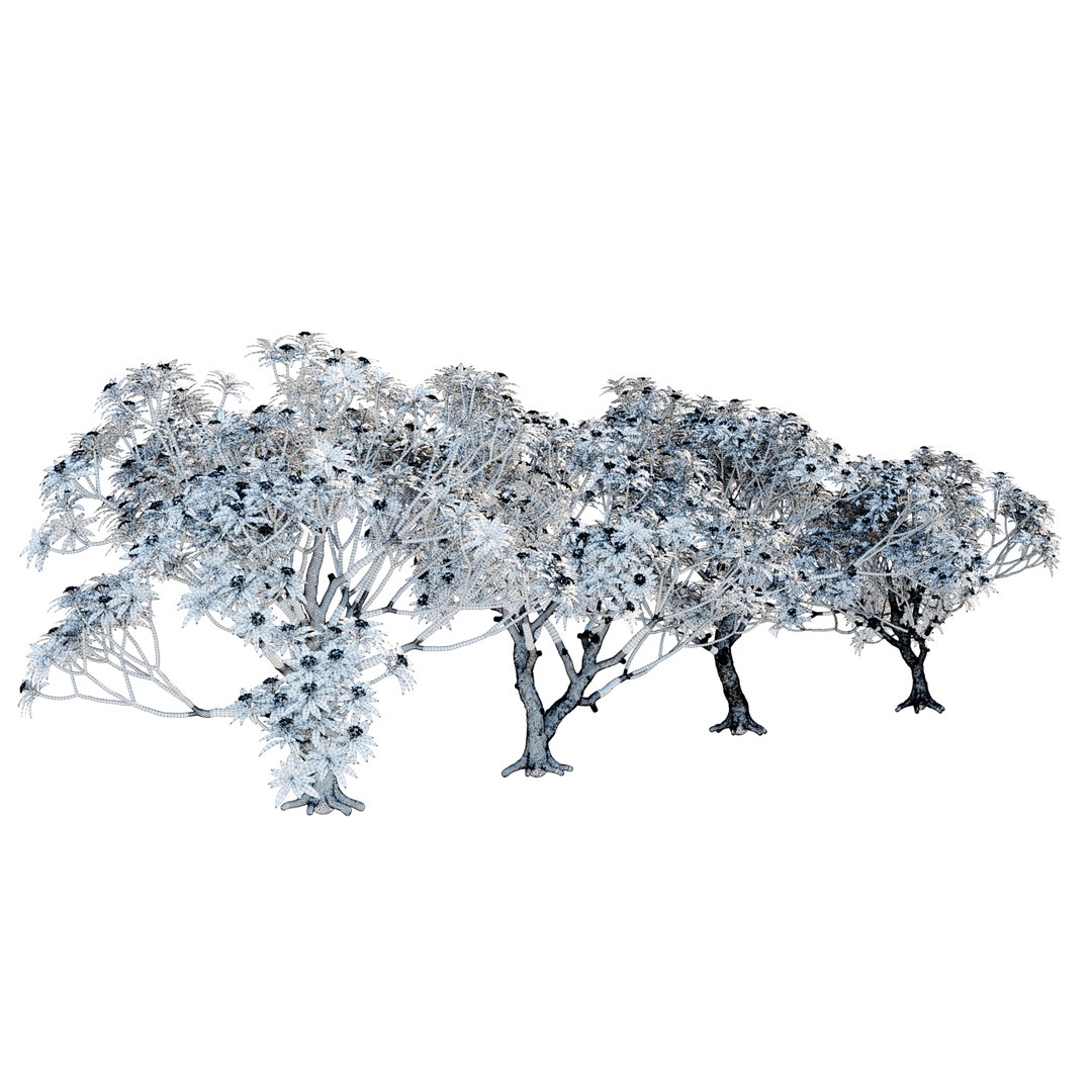 plumeria model https://p.turbosquid.com/ts-thumb/RS/qhc5wM/DFU5JIr7/wire/jpg/1599300205/1920x1080/fit_q87/319c6f3a089afbd146c6c382dfe180d94621149e/wire.jpg