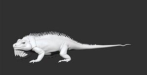 3D model Iguana