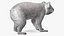 Australian Koala Rigged