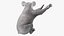 Australian Koala Rigged