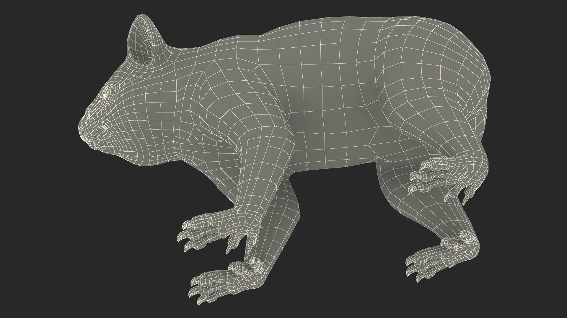 Australian Koala Rigged 3D https://p.turbosquid.com/ts-thumb/RT/9bPmhJ/N3/australiankoalarigged3dmodel048/jpg/1703676640/1920x1080/fit_q87/065dd2be6a4a313f15b753f186091b65822235ec/australiankoalarigged3dmodel048.jpg