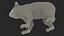 Australian Koala Rigged