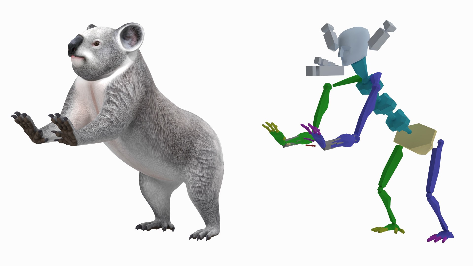Australian Koala Rigged 3D https://p.turbosquid.com/ts-thumb/RT/9bPmhJ/QY/australiankoalarigged3dmodel002/jpg/1703676429/1920x1080/fit_q87/65bc292405b5d2961c5d42a74a7b1b28afbed7c4/australiankoalarigged3dmodel002.jpg
