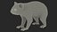 Australian Koala Rigged
