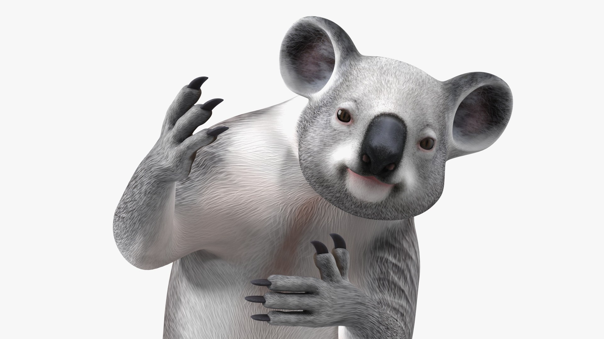 Australian Koala Rigged 3D https://p.turbosquid.com/ts-thumb/RT/9bPmhJ/Se/australiankoalarigged3dmodel030/jpg/1703676557/1920x1080/fit_q87/58e6e8aa6956bebfd76119a73b10177f58cb51ca/australiankoalarigged3dmodel030.jpg