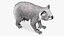 Australian Koala Rigged