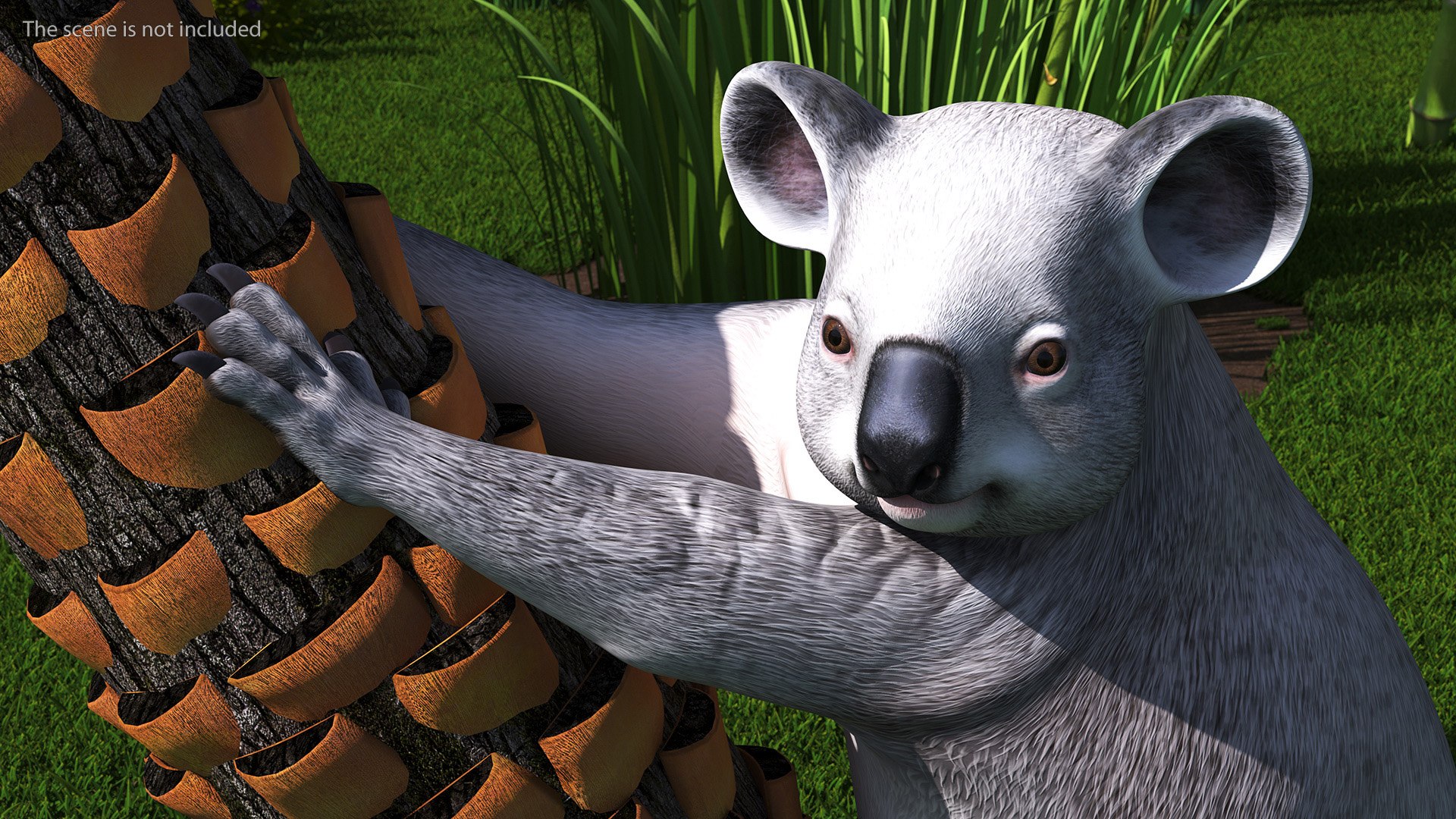 Australian Koala Rigged 3D https://p.turbosquid.com/ts-thumb/RT/9bPmhJ/Xr/australiankoalarigged3dmodel015/jpg/1703676490/1920x1080/fit_q87/699873ad53261818722766d0f084006982bcdfc4/australiankoalarigged3dmodel015.jpg