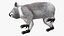 Australian Koala Rigged