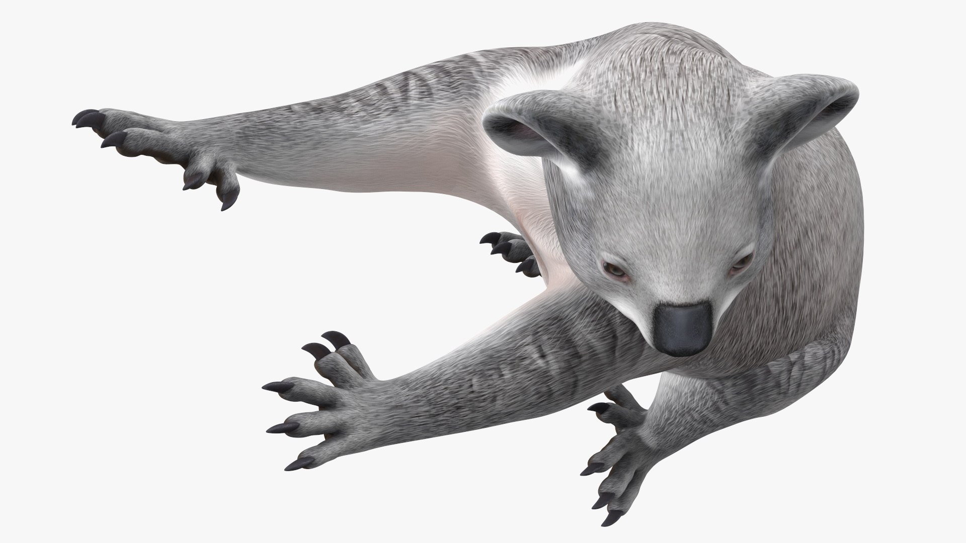 Australian Koala Rigged 3D https://p.turbosquid.com/ts-thumb/RT/9bPmhJ/lW/australiankoalarigged3dmodel035/jpg/1703676580/1920x1080/fit_q87/3b6f2f760b0082a373ebd3c25bfd38c8fff582b8/australiankoalarigged3dmodel035.jpg