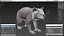 Australian Koala Rigged
