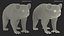 Australian Koala Rigged