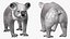Australian Koala Rigged