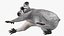 Australian Koala Rigged