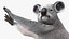 Australian Koala Rigged